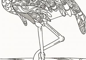 Weasel Coloring Pages Weasel Coloring Pages Elegant Weasel 16 Coloring Page