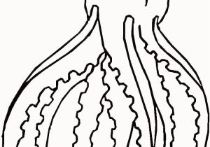 Weasel Coloring Pages Weasel Coloring Pages Unique Giant Squid Coloring Page