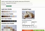 Web Page Color Palette How to Find Color Palette Inspiration Color Palette Generators