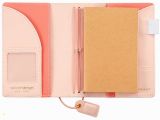 Webster S Pages Color Crush Pocket Traveler S Planner Blush Pocket Traveler Notebook