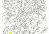 Weed Coloring Pages for Adults 37 Best Mary Jane Coloring Pages Images