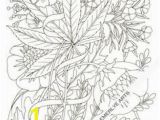 Weed Coloring Pages for Adults 37 Best Mary Jane Coloring Pages Images