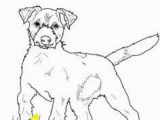 Weimaraner Coloring Pages 16 Beautiful Weimaraner Coloring Pages Pixabay