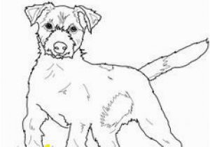 Weimaraner Coloring Pages 16 Beautiful Weimaraner Coloring Pages Pixabay