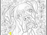 Weimaraner Coloring Pages 16 Beautiful Weimaraner Coloring Pages Pixabay