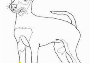 Weimaraner Coloring Pages 16 Beautiful Weimaraner Coloring Pages Pixabay