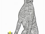 Weimaraner Coloring Pages 16 Beautiful Weimaraner Coloring Pages Pixabay