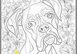 Weimaraner Coloring Pages 16 Beautiful Weimaraner Coloring Pages Pixabay