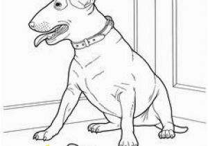 Weimaraner Coloring Pages 16 Beautiful Weimaraner Coloring Pages Pixabay