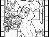 Weimaraner Coloring Pages 16 Beautiful Weimaraner Coloring Pages Pixabay