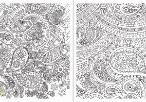 Weird Design Coloring Pages Posh Adult Coloring Book Paisley Designs for Fun & Relaxation