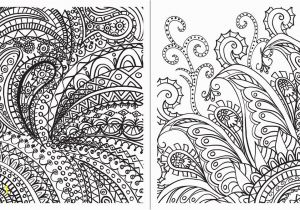 Weird Design Coloring Pages Posh Adult Coloring Book Paisley Designs for Fun & Relaxation