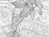 Whale Adult Coloring Pages Delfine Delfine Malbuch Fur Erwachsene