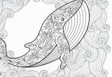 Whale Adult Coloring Pages Pin Auf Malvorlagen Erwachsene