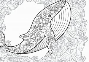 Whale Adult Coloring Pages Pin Auf Malvorlagen Erwachsene