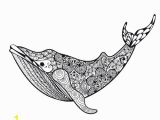 Whale Adult Coloring Pages Pin On Coloring Pages for Adults