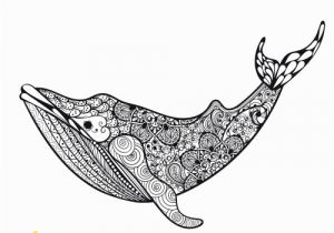 Whale Adult Coloring Pages Pin On Coloring Pages for Adults