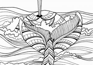 Whale Adult Coloring Pages Whale Adult Colouring Page Colouring In Sheets Art