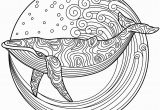 Whale Adult Coloring Pages Whale to Color with Coloringbookforme