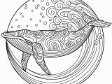 Whale Adult Coloring Pages Whale to Color with Coloringbookforme