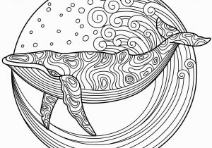 Whale Adult Coloring Pages Whale to Color with Coloringbookforme