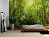 Where's Waldo Wall Mural Entrance to A Dark Leafy forest Wall Mural Removable