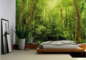 Where's Waldo Wall Mural Entrance to A Dark Leafy forest Wall Mural Removable