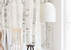 Whimsical Wall Murals Birch Woods In Winter In 2019 Baby Nursery Pinterest