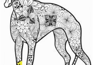 Whippet Coloring Pages 13 Best Gratis Ausmalbilder Hunde Images On Pinterest