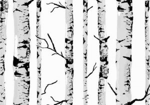 White Birch Wall Mural Black White Birch Tree Wall Paper Pvc Bedroom Living Room