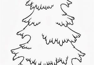 White Pine Tree Coloring Page 20 Skinny Christmas Tree Coloring Page