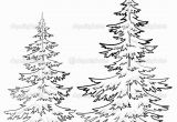 White Pine Tree Coloring Page Pine Tree Drawings Black and White