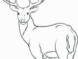 White Tailed Deer Coloring Page Coloring Pages Deer Coloring Pages Kids 2019