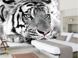 White Tiger Wall Mural Bacaz 8d Mural White Tiger Wall Art 3d Wallpaper Animal Tiger Mural 3d Wall Mural Wall Paper for Bedroom Background Home Decor Popular Wallpapers