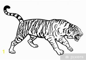 White Tiger Wall Mural Ing Tiger Black and White Sticker Pixerstick