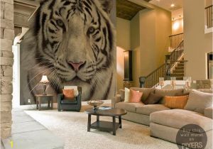 White Tiger Wall Mural Tiger Wall Mural by Pixers