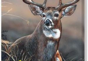 Whitetail Deer Murals 158 Best Deer Images In 2019