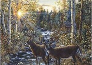 Whitetail Deer Murals 9 Best Shirley S Murals Images