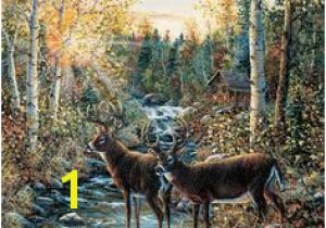Whitetail Deer Murals 9 Best Shirley S Murals Images