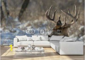 Whitetail Deer Wall Murals Big Deer National Wall Mural Threaded Wallpaper Murals