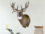 Whitetail Deer Wall Murals Deer Wall Decor