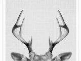 Whitetail Deer Wall Murals Für Caddi …