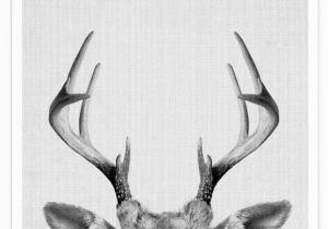 Whitetail Deer Wall Murals Für Caddi …