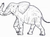 Wild Animal Coloring Pages for Kids Wild Animal Coloring Pages Best Coloring Pages for Kids