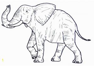 Wild Animal Coloring Pages for Kids Wild Animal Coloring Pages Best Coloring Pages for Kids