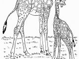 Wild Animal Coloring Pages for Kids Wild Animals Coloring Pages for Kids to Print for Free