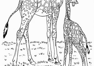 Wild Animal Coloring Pages for Kids Wild Animals Coloring Pages for Kids to Print for Free