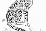 Wild Animal Coloring Pages for Kids Wild Animals Coloring Pages for Kids to Print for Free