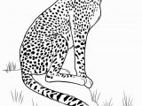 Wild Animal Coloring Pages for Kids Wild Animals Coloring Pages for Kids to Print for Free
