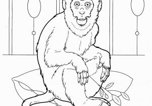 Wild Animal Coloring Pages for Kids Wild Animals Coloring Pages for Kids to Print for Free